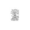 Anthropomorphic Tree Temporary Tattoo