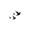 Stylized Bird Silhouette Temporary Tattoo