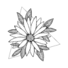 Black Line Art Flower Temporary Tattoo
